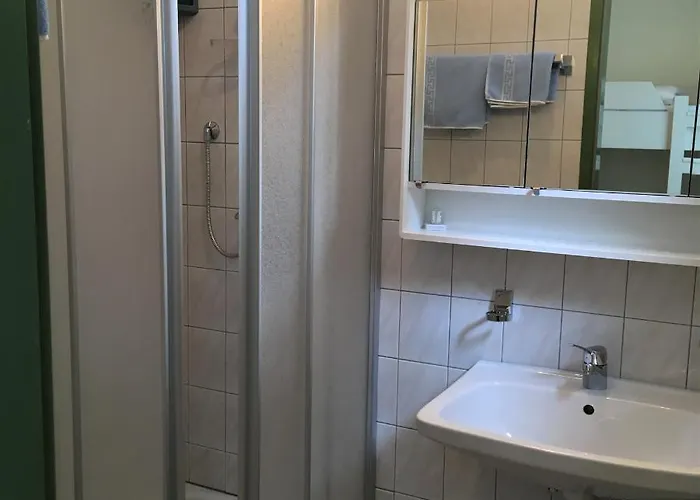 Garni "das Pallottihaus Wien" מלון *
